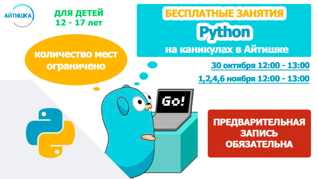 Программирование Python для детей и школьников в Набережных Челнах в aytishka.ru